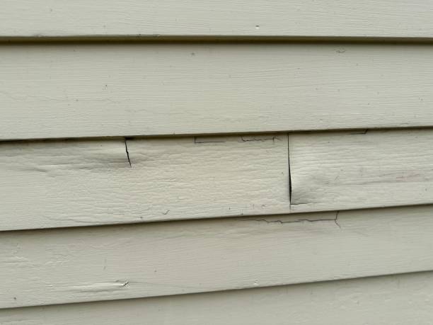 Best Siding for Commercial Buildings  in Charenton, LA